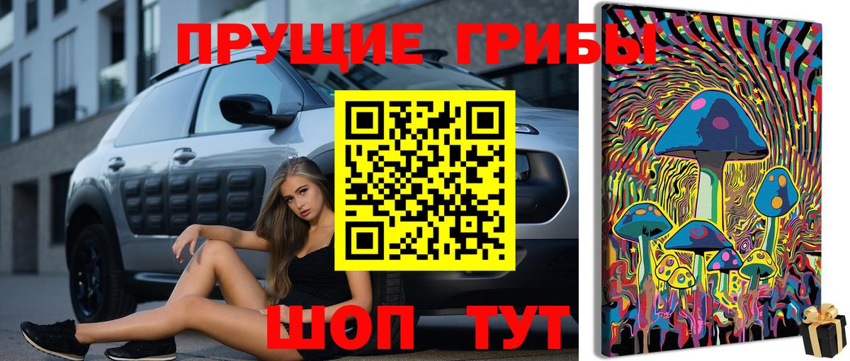 Галлюциногенные грибы мицелий  Псилоцибиновые грибы мицелий  Владимир  купить наркоту  Вход с VPN 