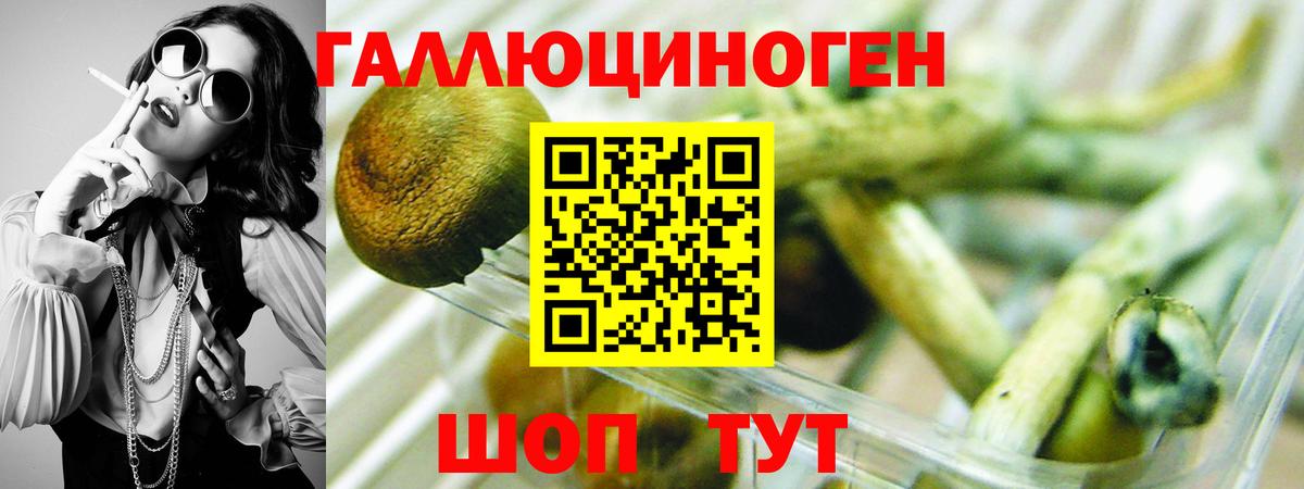 Псилоцибиновые грибы ЛСД Владимир